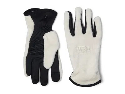 The North Face Osito Etiptm Gloves Extreme Cold Weather Gloves White Dune: Xl In Neutral