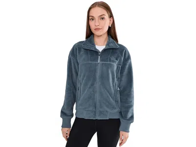 The North Face Osito Lux Jacket In Gray