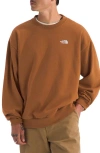 The North Face Men's Evolution Simple Dome Oversized Crew Sweatshirt In Brown