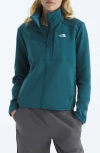 The North Face Performance Fleece Full Zip Jacket In Blue