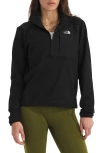 The North Face Performance Fleece Half-zip Pullover In Black
