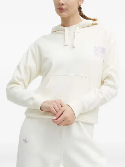 The North Face Plastic Free Peaks Hoodie In Neutral