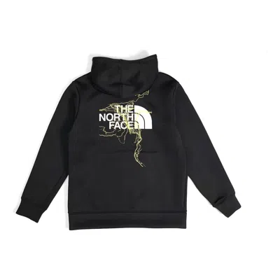The North Face Pullover Hoodie 'black'