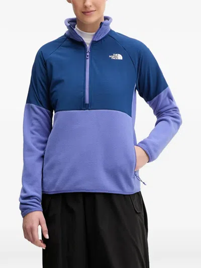 The North Face Quarter-zip Colour-block Sweatshirt In Blue
