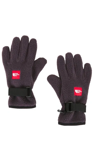 The North Face Red Box Fleece Glove In Purple