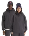 The North Face Relaxed Fit Tnf Red Box Hoodie In Gray
