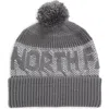 The North Face Retro Cabin Beanie In Smoked Pearl/high Rise