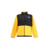 The North Face Trimmed Fleece Neck Panelled Zip Pockets