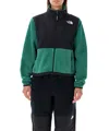 The North Face Women's Retro Denali Jacket In Green