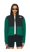 The North Face Women's Retro Denali Jacket In Green