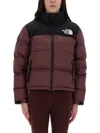 The North Face Retro Nuptse 1996 Jacket In Brown