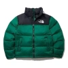 The North Face Retro Nuptse Puffer Jacket 'green'