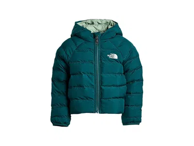 The North Face Kids' Reversible Perrito Hooded Jacket (toddler) Boy's Clothing Pacific Teal: 4t Toddler, Polyester In Blue