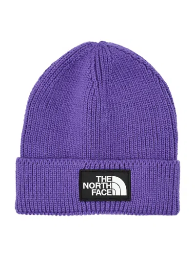 The North Face Ribbed Knit Beanie Hat In Purple