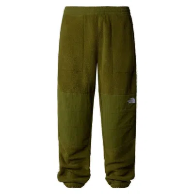 The North Face Denali Ripstop Track Pants In Green