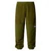 THE NORTH FACE RIPSTOP DENALI PANTS