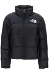 The North Face Nuptse 1996 Packable Quilted Down Jacket In Black