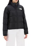 The North Face Nuptse 1996 Packable Quilted Down Jacket In Multi