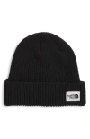 The North Face Salty Bae Knit Beanie In Brown