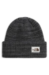 The North Face Salty Bae Knit Beanie In Brown