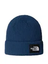 The North Face Salty Beanie In Blue