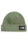 The North Face Salty Dog Beanie In Blue