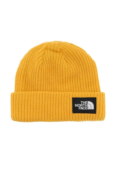 The North Face Salty Dog Beanie Hat In Summit Gold (orange)