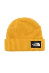 THE NORTH FACE THE NORTH FACE SALTY DOG BEANIE