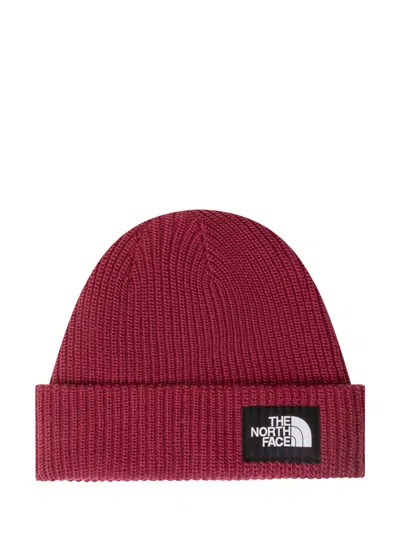 The North Face Salty Lined Beanie In Burgundy Crush