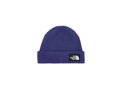 The North Face Salty Lined Beanie Traditional Hats Peak Purple, Polyester