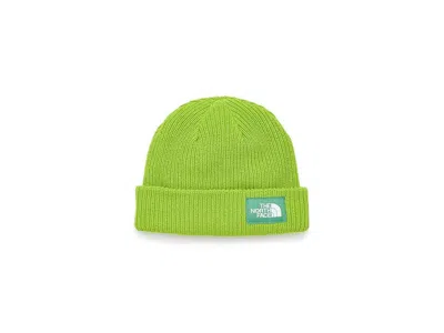 The North Face Salty Lined Beanie Traditional Hats Sport Moss, Polyester In Green