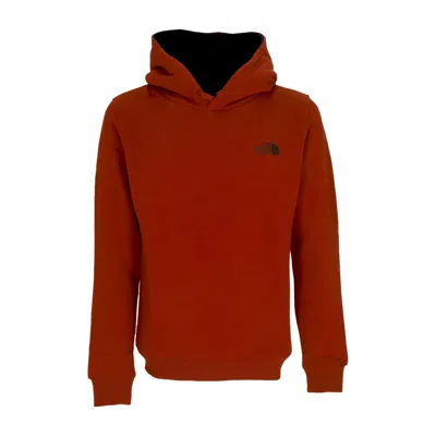 The North Face Seas Drew Peak Men's Hoodie Brandy Brown