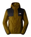 The North Face Seasonal Mountain Jacket In Brown