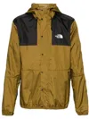 The North Face Seasonal Mountain Jacket In Green