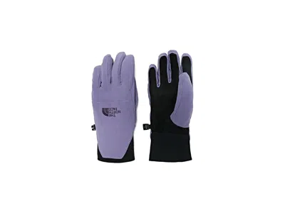 The North Face Shelbe Raschel Etiptm Women's Gloves Extreme Cold Weather Women's Gloves Grounded Plum: Sm, Polyeste