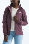 The North Face Shelbe Raschel Water Resistant Hooded Jacket In Purple