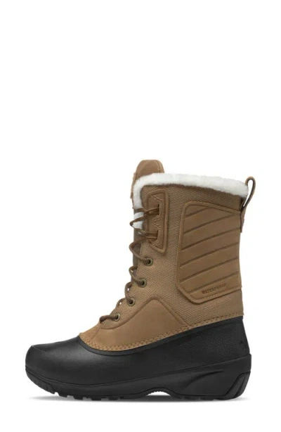 The North Face Shellista Iv Mid Waterproof Insulated Winter Boot With Faux Fur Lining In Brown