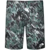 The North Face Shorts Green In Multi