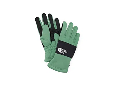 The North Face Sierra Etiptm Gloves (little Kid/big Kid) Over-mits Gloves Dimmed Algae: Lg In Green