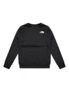 The North Face Simple Dome Sweatshirt In Black