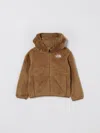 The North Face Sweater  Kids Color Brown In Green