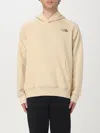 The North Face Raglan Redbox Hoodie In Beige