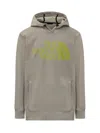 The North Face Tekno Logo Printed Hoodie In Clay Grey