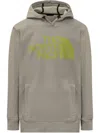 The North Face Tekno Logo Printed Hoodie In Grey