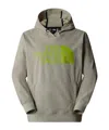 The North Face Tekno Logo Printed Hoodie In Gray
