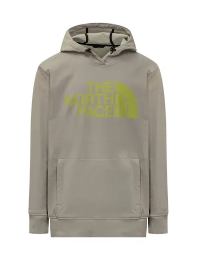 The North Face Tekno Hoodie In Grey