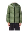 The North Face Terra Peak Hoodie In Green