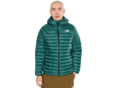 The North Face Terra Peak Hoodie Men's Coat Pacific Teal/restorative Teal: Md, Nylon In Green