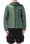 The North Face Terra Peack Hybrid Down Jacket In Green