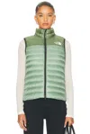 The North Face Terra Peak Vest In Green